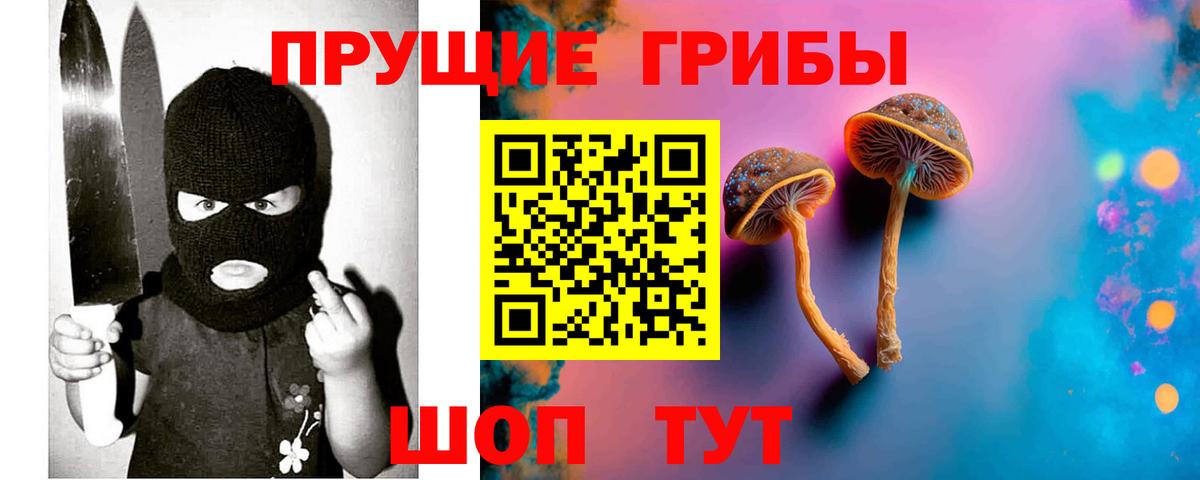 Галлюциногенные грибы Magic Shrooms  где можно купить наркотик  Псилоцибиновые грибы мицелий  Воронеж 